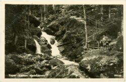 ysperklamm, ansicht