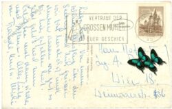mariazell, gegen zellerhüte