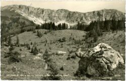 st. barbara im mürztal, brunnalm auf der hohen veitsch st. barbara im mürztal, brunnalm auf der hohen veitsch