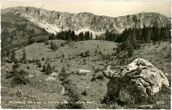 st. barbara im mürztal, brunnalm auf der hohen veitsch st. barbara im mürztal, brunnalm auf der hohen veitsch
