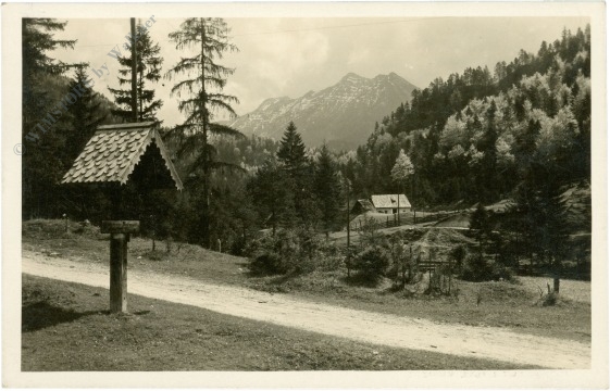 wildalpen, hopfgarten