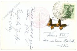 großglockner, mit pasterze