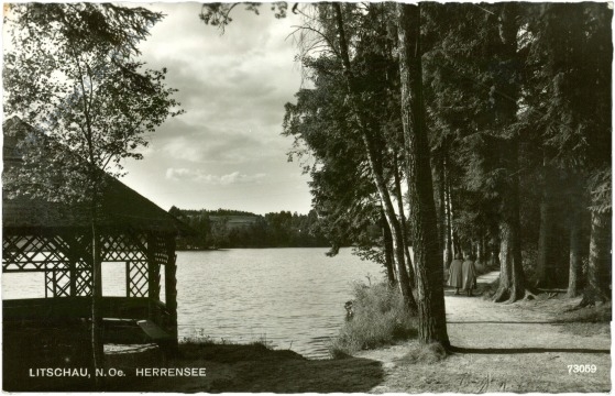 litschau, herrensee