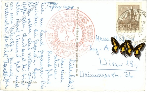 st. wolfgang, mit schafberg