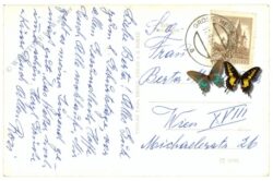 nöhagen, burg hartenstein