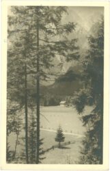blick ins tal