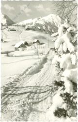 neujahr, verschneiter weg