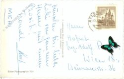 neujahr, verschneiter weg