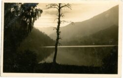 mariazell, erlaufsee