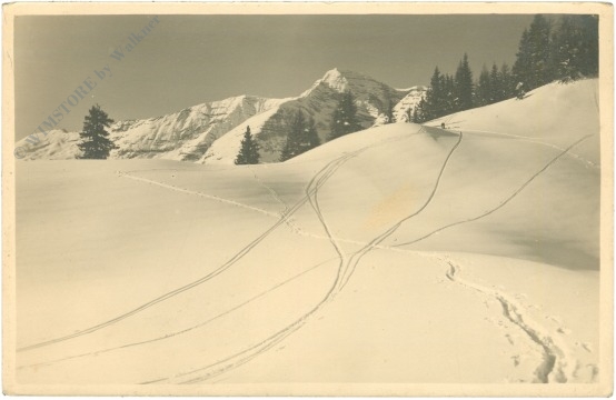 vorderstoder, warscheneckgipfel