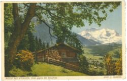 wengen, motiv, blick gegen die jungfrau