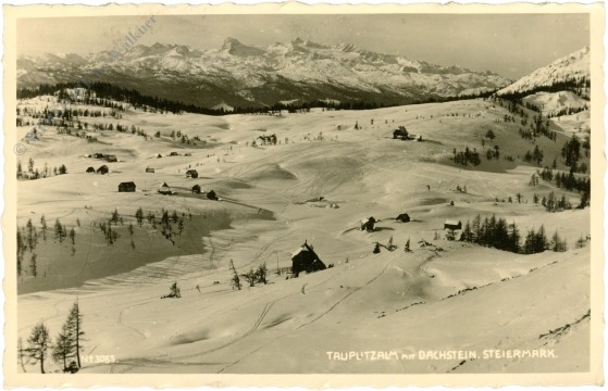 tauplitzalm, mit dachstein