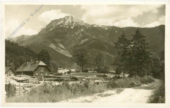 st. aegyd am neuwalde, motiv aus kernhof mit gippel