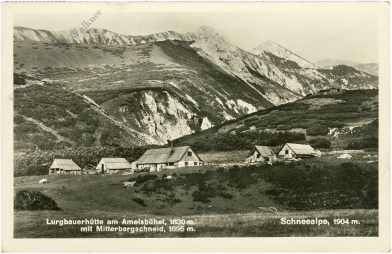 altenberg an der rax, lurgbauerhütte am ameisbühel mit mitterbergschneid, schneeberg