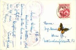 dachstein, dachsteinsüdwandhütte und dirndl