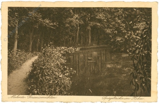 malente, gremsmühlen, spiegelsee im hohn