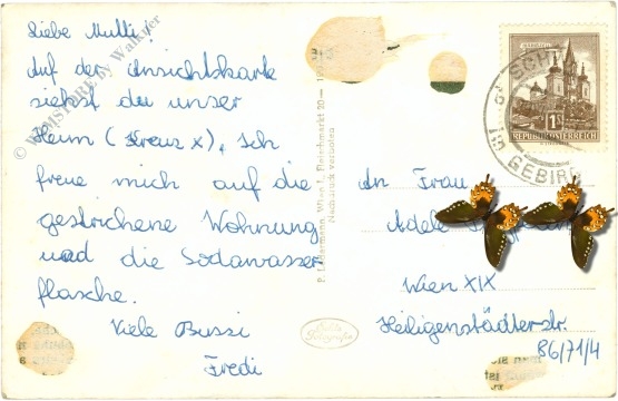 schwarzau im gebirge, ortsansicht