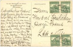 buchenwald (steingraben)