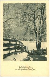 weihnachten, verschneiter weg