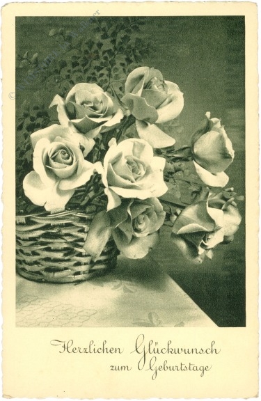 geburtstag, rosen im korb