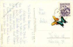 nöchling, aussicht vom predigtstuhl