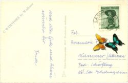 namenstag, nelken in einer vase