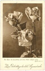 geburtstag, rosen geburtstag, rosen