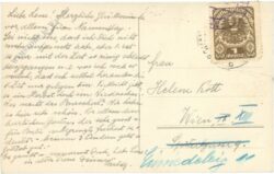 brunn an der schneebergbahn (am steinfelde), ansicht