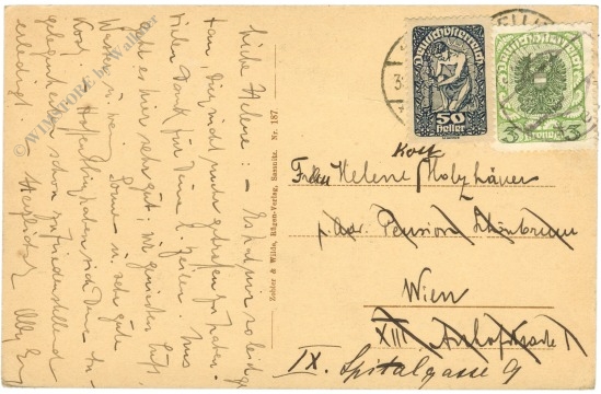 rügen, blick von der waldhalle zwischen sellin und binz