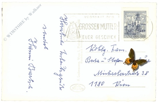 mariazell, blick von der bürgeralpe