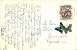 pürgg, mit grimming