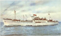 mn. amerigo vespucci