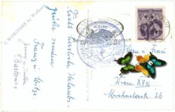 großglockner, hochalpenstraße mit großglockner, obere schütt