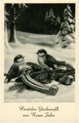 neujahr, vögel mit hufeisen