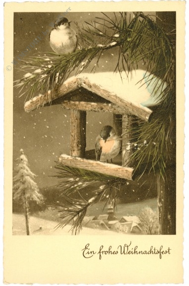 weihnachten, am futterhäuschen