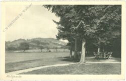 waldpartie