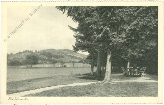 waldpartie