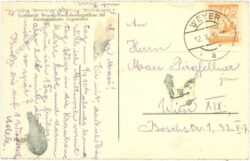waldpartie