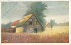 lindenberg, bugen: landschaft