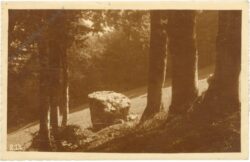 fels im wald