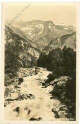 gössl, wildbachpartie bei elm