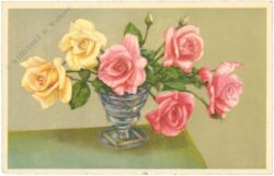 rosen in vase