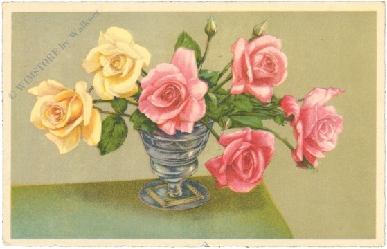 rosen in vase