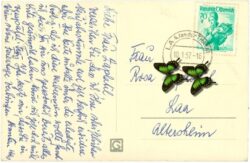 neujahr, verschneite landschaft