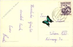 unternberg, schloss moosham