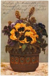 blumentopf