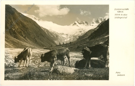 finkenberg, dominikushütte, blick in das schlegeistal