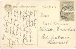 mann mit fahne