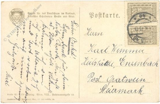 mann mit fahne