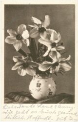 blumen in vase